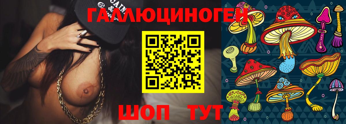 Городец  Псилоцибиновые грибы мицелий  Псилоцибиновые грибы прущие грибы  Вход с VPN 