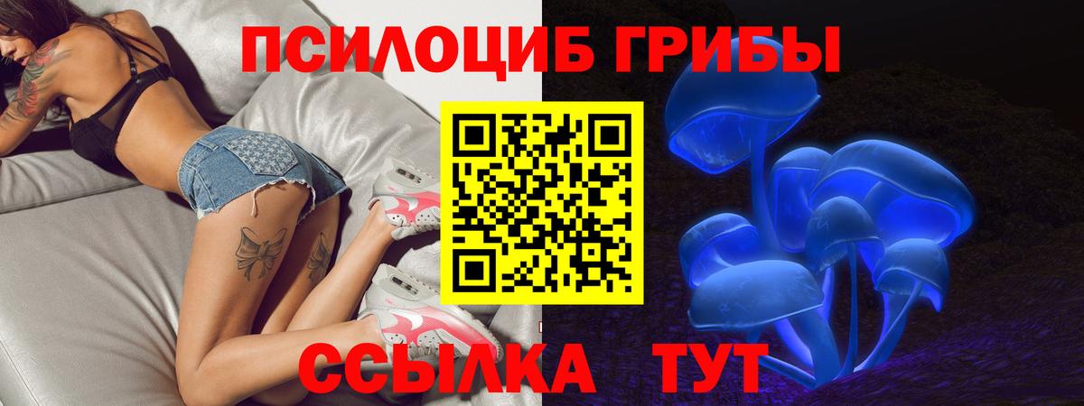Галлюциногенные грибы ЛСД Городец